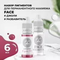 Набор Пигмент ДЖОЛИ и Разбавитель Face Набор Пигмент ДЖОЛИ и Разбавитель Face